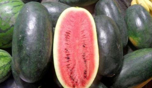 mogu吃瓜网红黑料,黑料背后的真相与反思